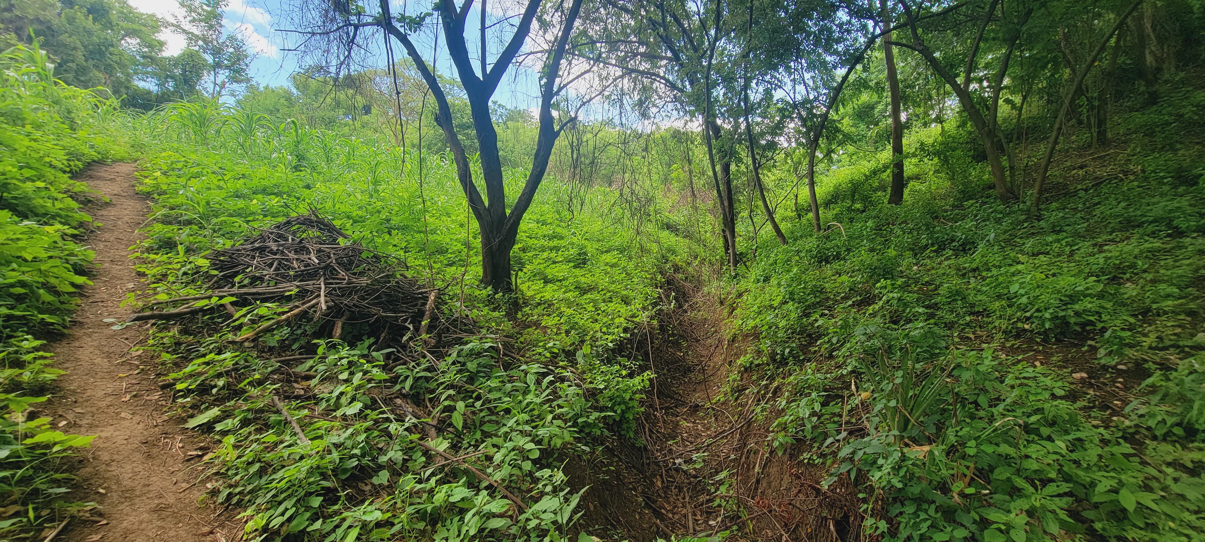 The Harvest of Matagalpa: A Testament to God's Faithfulness