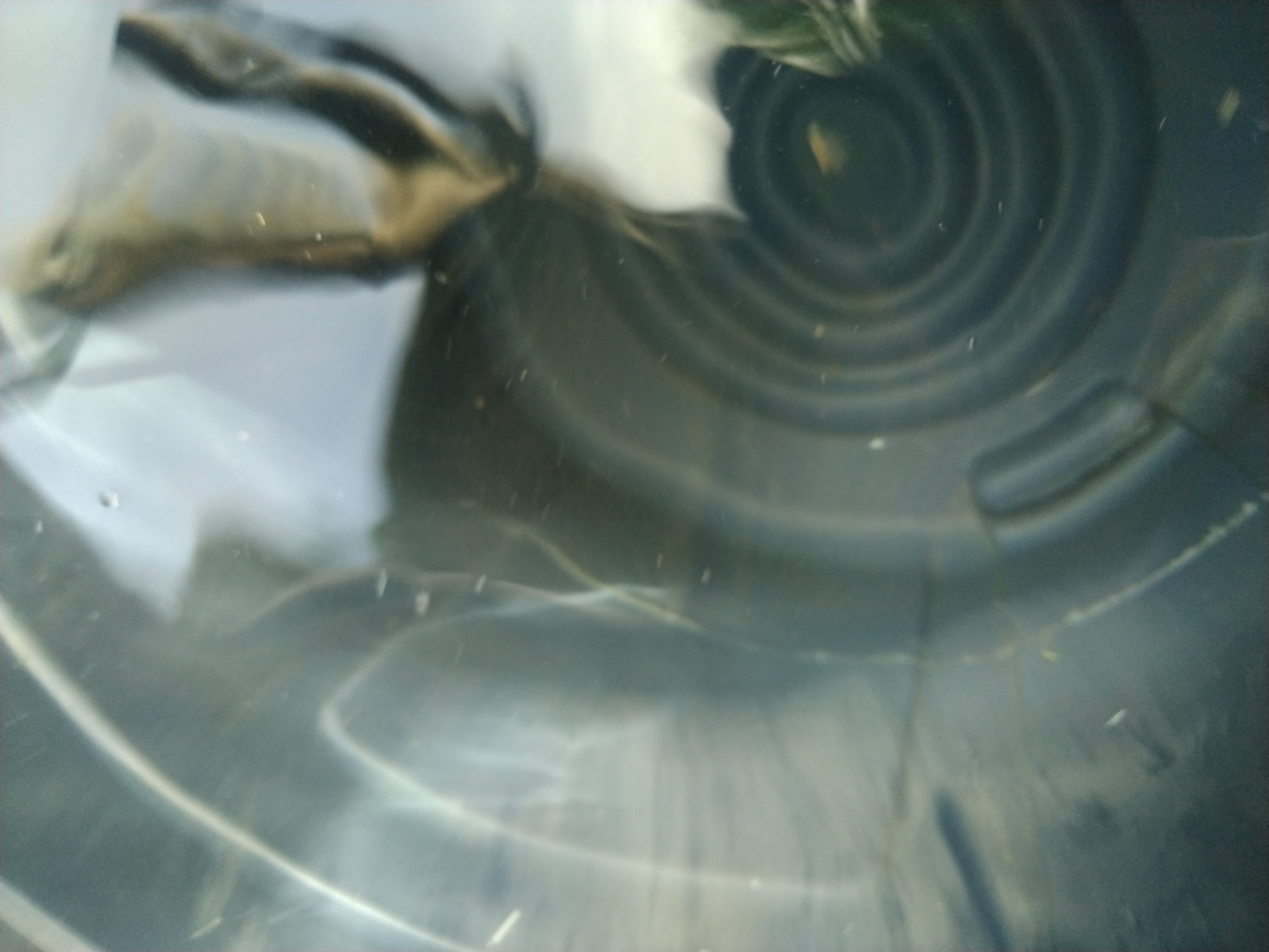 Community receiving clean water
